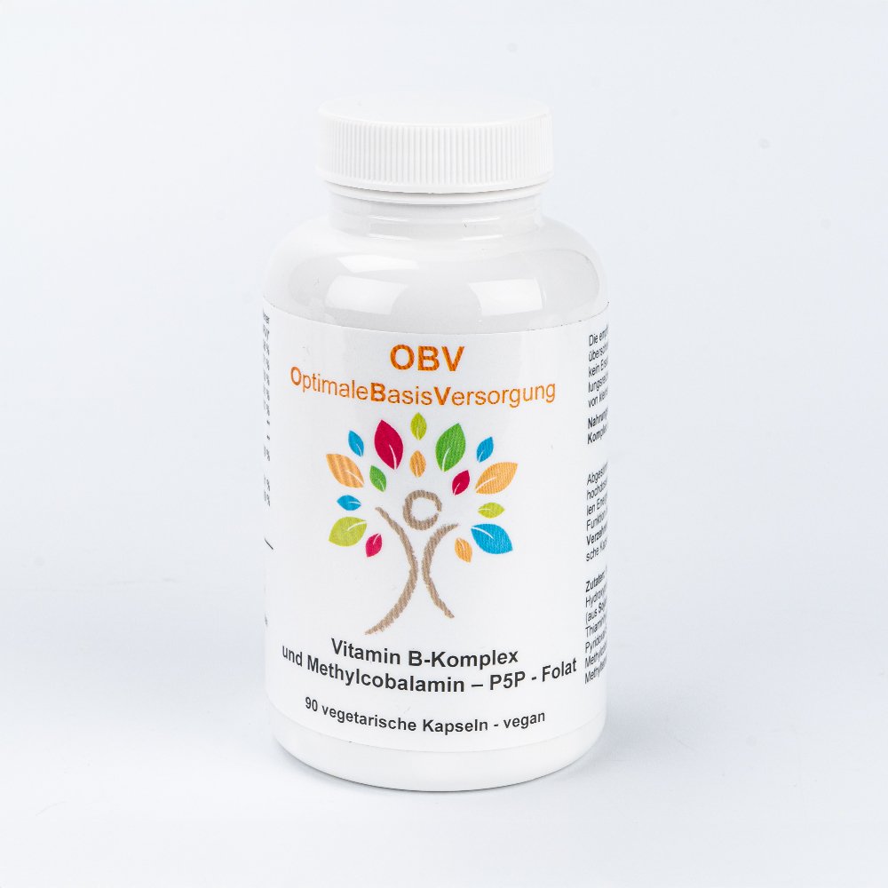 OBV Vitamin B-Komplex 1 OBV Vitamin B-Komplex