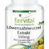 Fairvital Löwenzahnwurzel Extrakt 500 mg 2 Fairvital Löwenzahnwurzel Extrakt 500 mg 1
