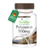 Polyporus 500mg