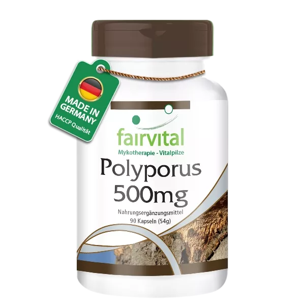 Polyporus 500mg
